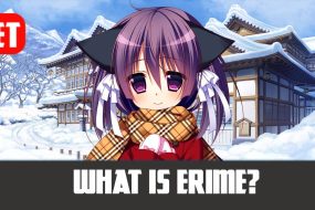 What Is Erime