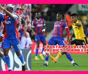 Crystal Palace vs Wolves Prediction and Expert Tips, Day 22 Feb 2026