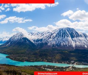 Northernmost USA State Cookie Jam Answer and Meaning