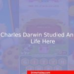 Charles Darwin Studied Animal Life Here? Cookie Jam Answer