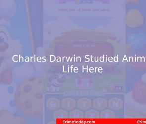 Charles Darwin Studied Animal Life Here? Cookie Jam Answer