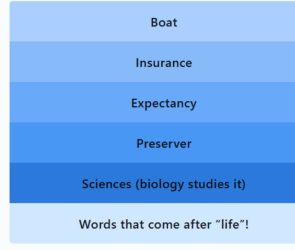 Life Boat, Life Insurance, Life Expectancy, Life Preserver, Life Sciences)