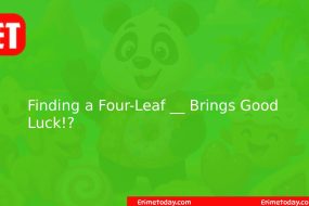 Finding a Four-Leaf __ Brings Good Luck!?