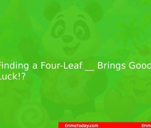 Finding a Four-Leaf __ Brings Good Luck!?