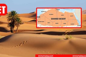 Largest Driest Desert? Cookie Jam