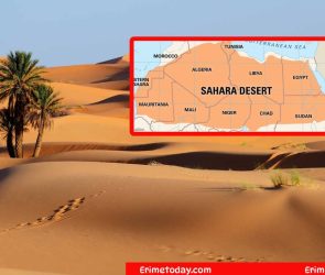 Largest Driest Desert? Cookie Jam