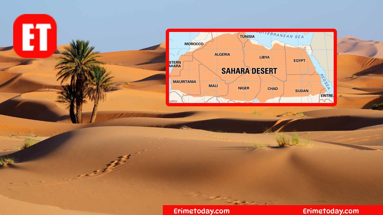 Largest Driest Desert? Cookie Jam