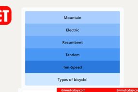 LinkedIn Pinpoint #686 Answer Types of bicycle!