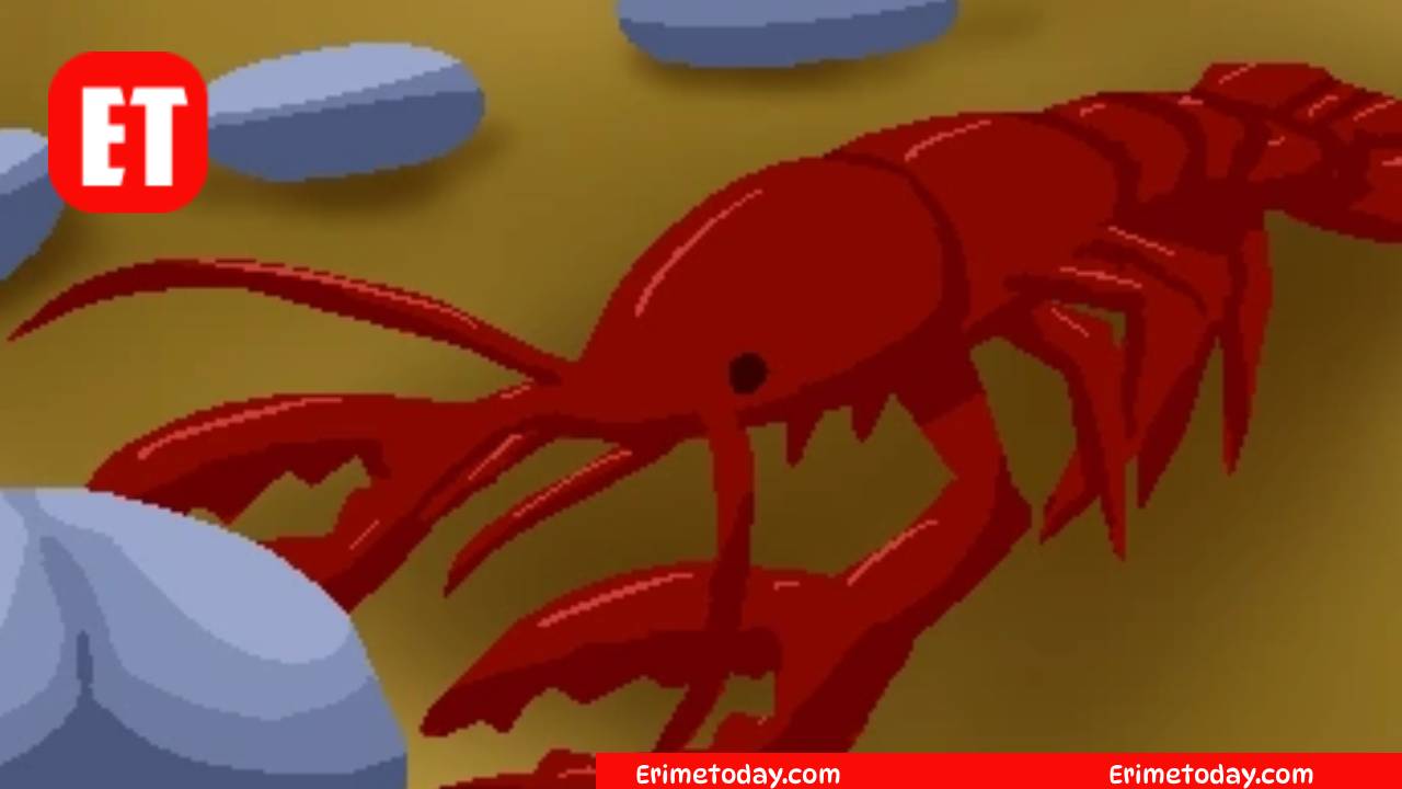 Long Body, Claws, Eaten with Butter? Cookie Jam