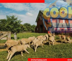 Take Care of Crops and Animals? Cookie Jam