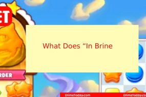 What Does “In Brine