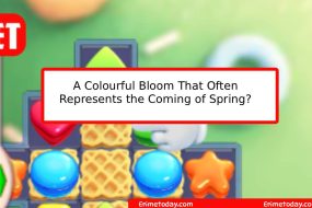 A Colourful Bloom That Often Represents the Coming of Spring?