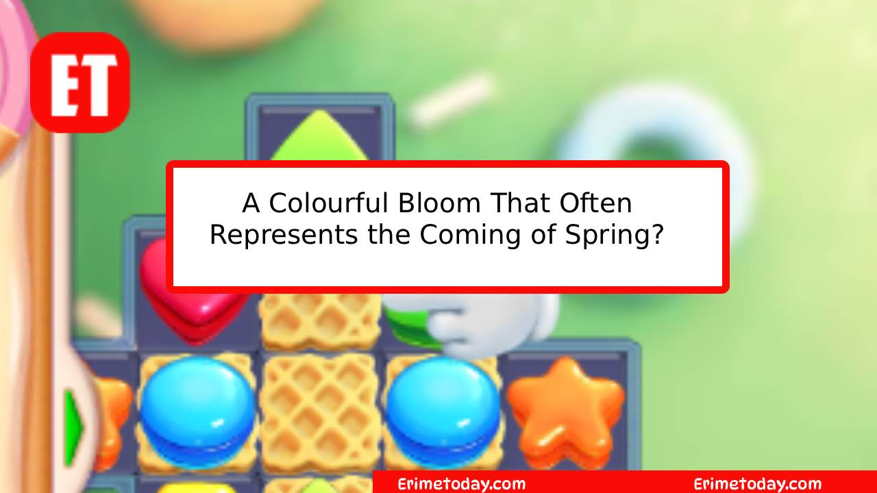 A Colourful Bloom That Often Represents the Coming of Spring?