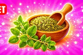 A Spice Used in Latin and Mediterranean Food?