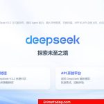 DeepSeek