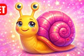 Slow Shelled Mollusc?