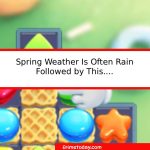 Spring Weather Is Often Rain Followed by This