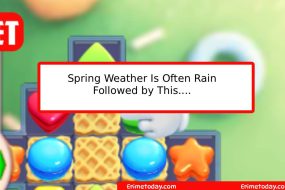 Spring Weather Is Often Rain Followed by This