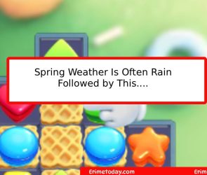 Spring Weather Is Often Rain Followed by This