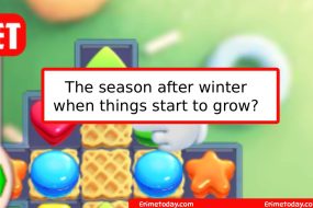 The Season After Winter When Things Start to Grow?