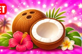 Round White Nut Associated with Hawaii?