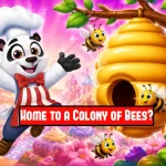 Home to a Colony of Bees?