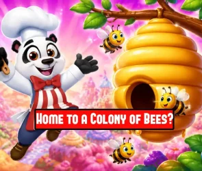 Home to a Colony of Bees?