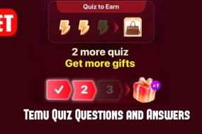 Temu Quiz Questions and Answers