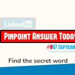 LinkedIn Pinpoint 867