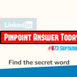 LinkedIn Pinpoint 873